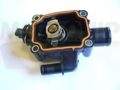 Термостат, охлаждающая жидкость MOTAQUIP купить