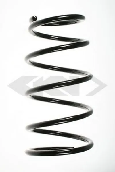 винтовая пружина SPIDAN купить