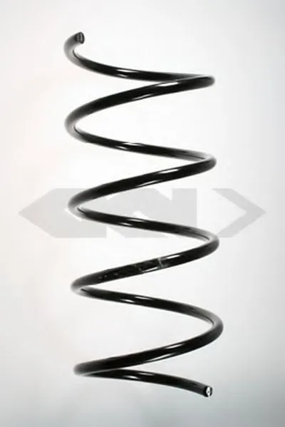 винтовая пружина SPIDAN купить