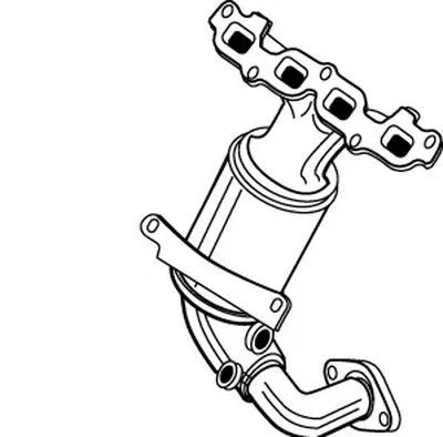 Катализатор для переоборудования WALKER купить