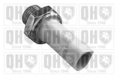 Выключатель с гидропроводом CI QUINTON HAZELL купить