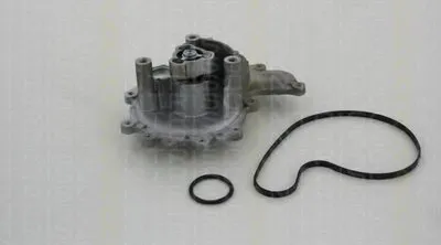 Водяной насос TRISCAN купить