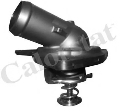 Термостат, охлаждающая жидкость CALORSTAT by Vernet купить