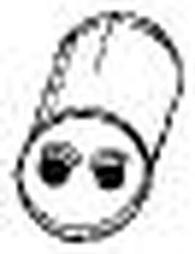 Средний глушитель выхлопных газов SIGAM купить