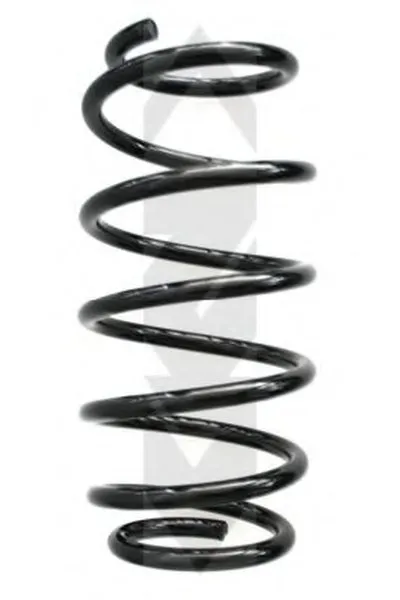 винтовая пружина SPIDAN купить