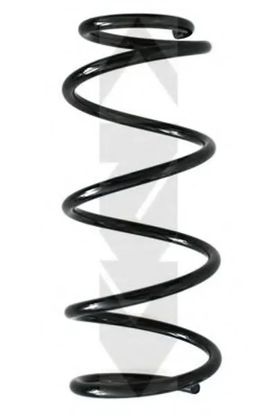 винтовая пружина SPIDAN купить