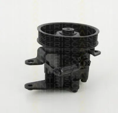 Гидравлический насос, рулевое управление TRISCAN купить