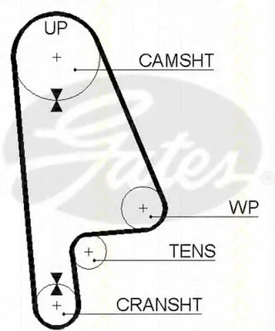 Ремень ГРМ TRISCAN купить