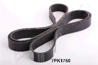 V-Ribbed Belts ASHIKA купить