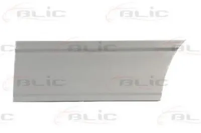 Дверь, кузов BLIC купить