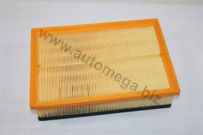 Воздушный фильтр AutoMega Premium AUTOMEGA купить
