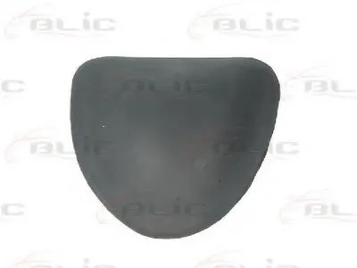 Облицовка / защитная накладка, дверь BLIC купить