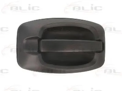 Ручка двери BLIC купить