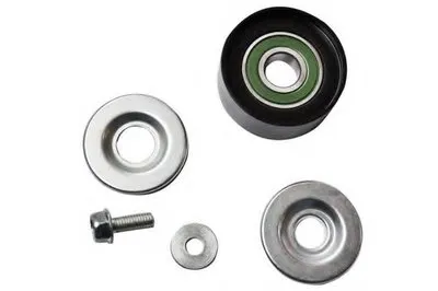 Ролик ременя генератора (направ.) Logan/Sandero 1.4-1.6 04-