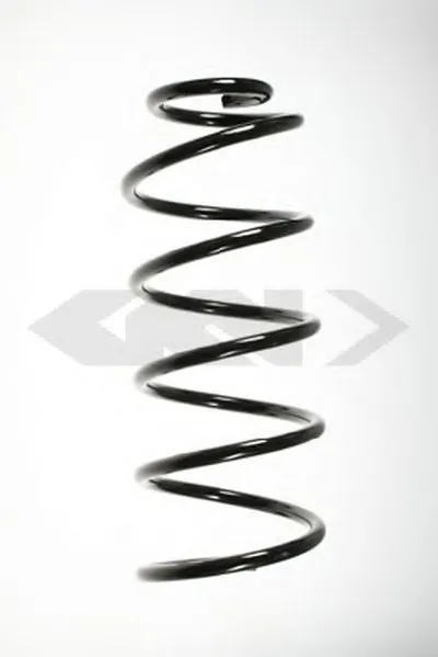 винтовая пружина SPIDAN купить