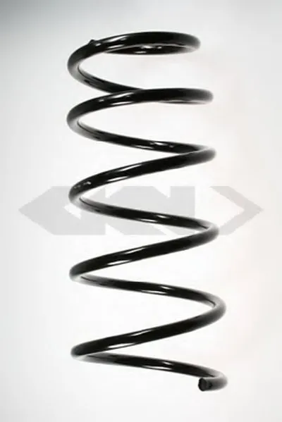 винтовая пружина SPIDAN купить