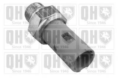 Выключатель с гидропроводом CI QUINTON HAZELL купить