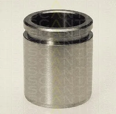 Поршень, корпус скобы тормоза TRISCAN купить