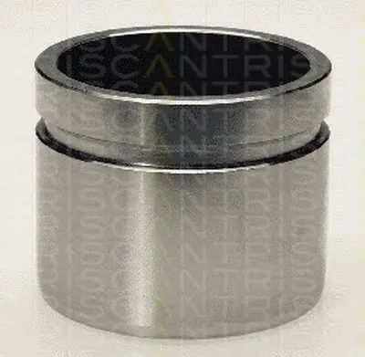 Поршень, корпус скобы тормоза TRISCAN купить