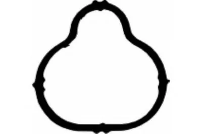 Прокладка, впускной коллектор PAYEN купить