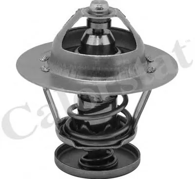 Термостат, охлаждающая жидкость CALORSTAT by Vernet купить