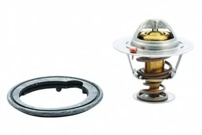 Термостат, охлаждающая жидкость HOFFER купить