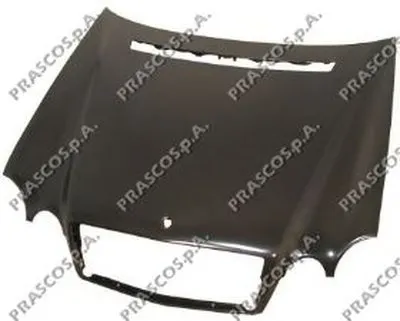 Капот двигателя PRASCO купить