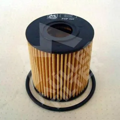 Масляный фильтр MULLER FILTER купить