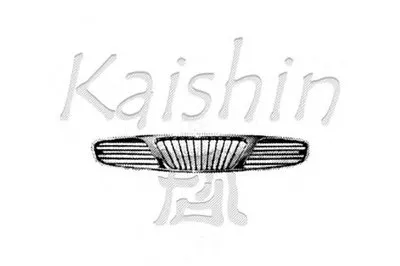 Кузов KAISHIN купить