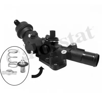 Термостат, охлаждающая жидкость CALORSTAT by Vernet купить