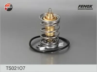 Термостат, охлаждающая жидкость FENOX купить