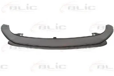 Спойлер BLIC купить