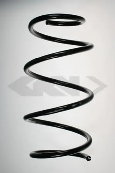 винтовая пружина SPIDAN купить