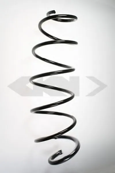 винтовая пружина SPIDAN купить