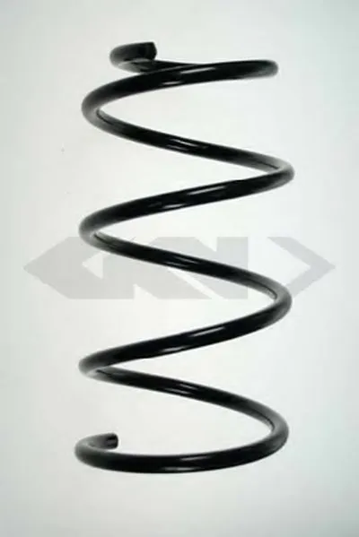 винтовая пружина SPIDAN купить