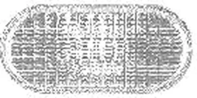 Фонарь указателя поворота VAN WEZEL купить