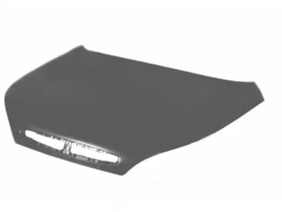 Капот двигателя VAN WEZEL купить