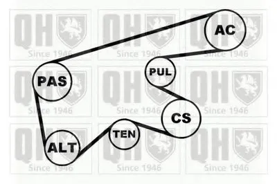 Поликлиновой ременный комплект QUINTON HAZELL купить