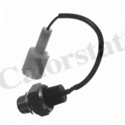 Выключатель с гидропроводом CALORSTAT by Vernet купить