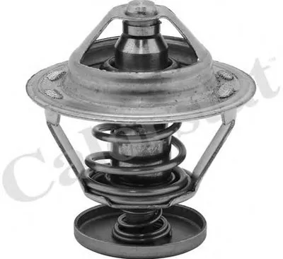 Термостат, охлаждающая жидкость CALORSTAT by Vernet купить