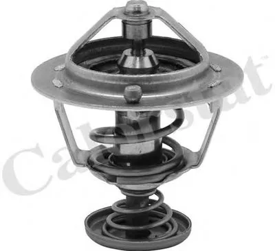 Термостат, охлаждающая жидкость CALORSTAT by Vernet купить