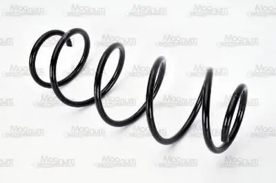 винтовая пружина Magnum Technology купить