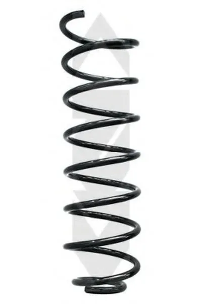 винтовая пружина SPIDAN купить