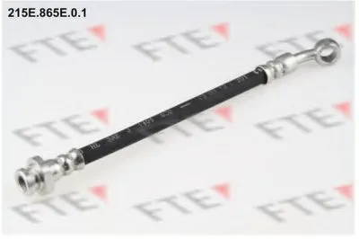 Тормозной шланг FTE купить