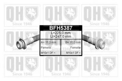 Тормозной шланг QUINTON HAZELL купить
