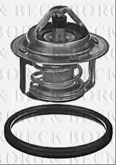 Термостат, охлаждающая жидкость BORG & BECK купить