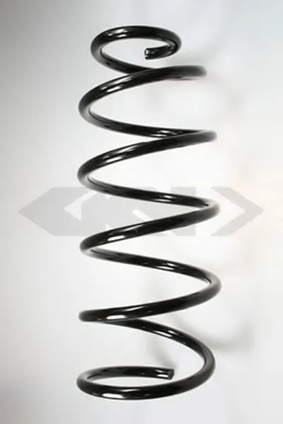 винтовая пружина SPIDAN купить