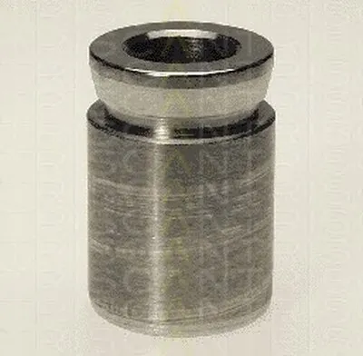 Поршень, корпус скобы тормоза TRISCAN купить