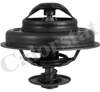 Термостат, охлаждающая жидкость CALORSTAT by Vernet купить