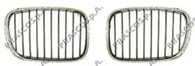 Решетка радиатора Premium PRASCO купить